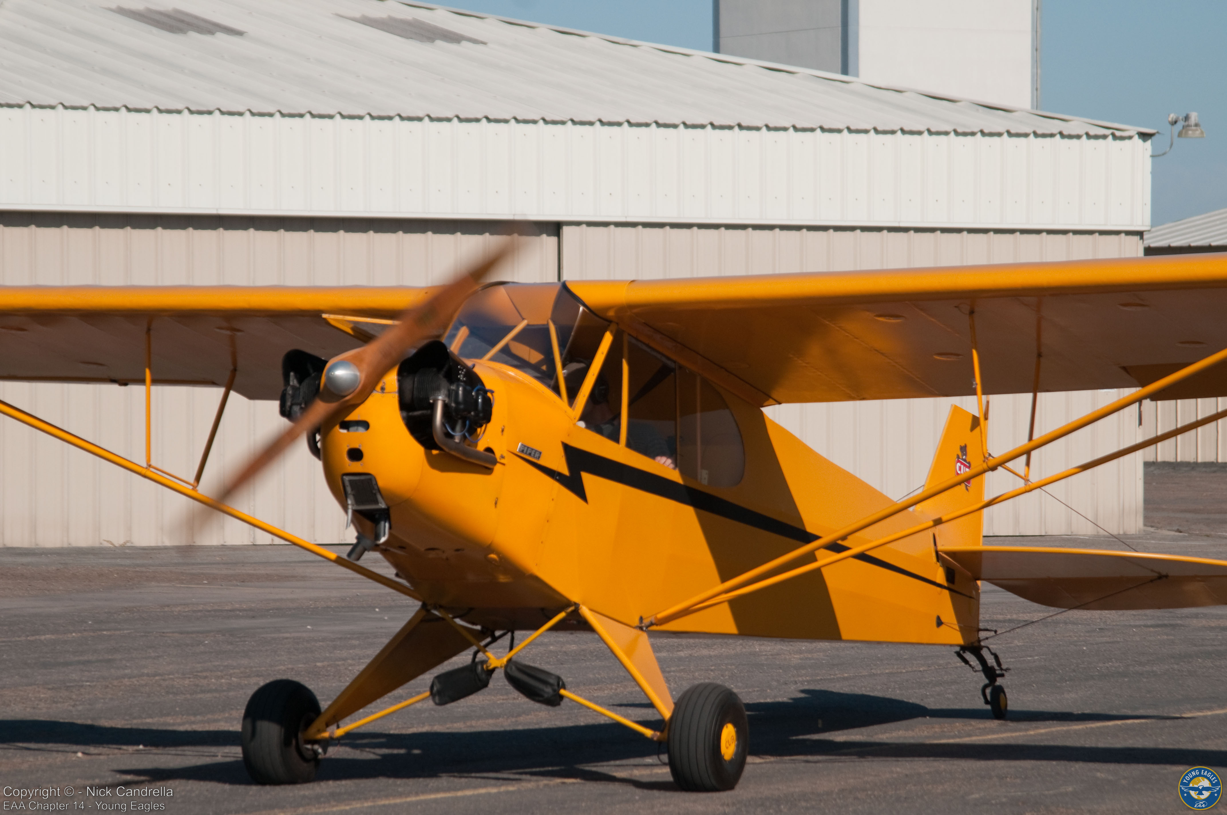 Young Eagles photo 6